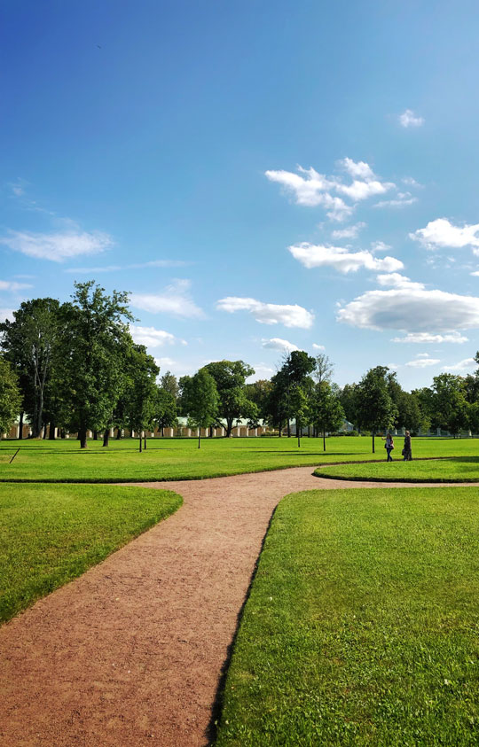 Lawns & Turf Lawns & Turf