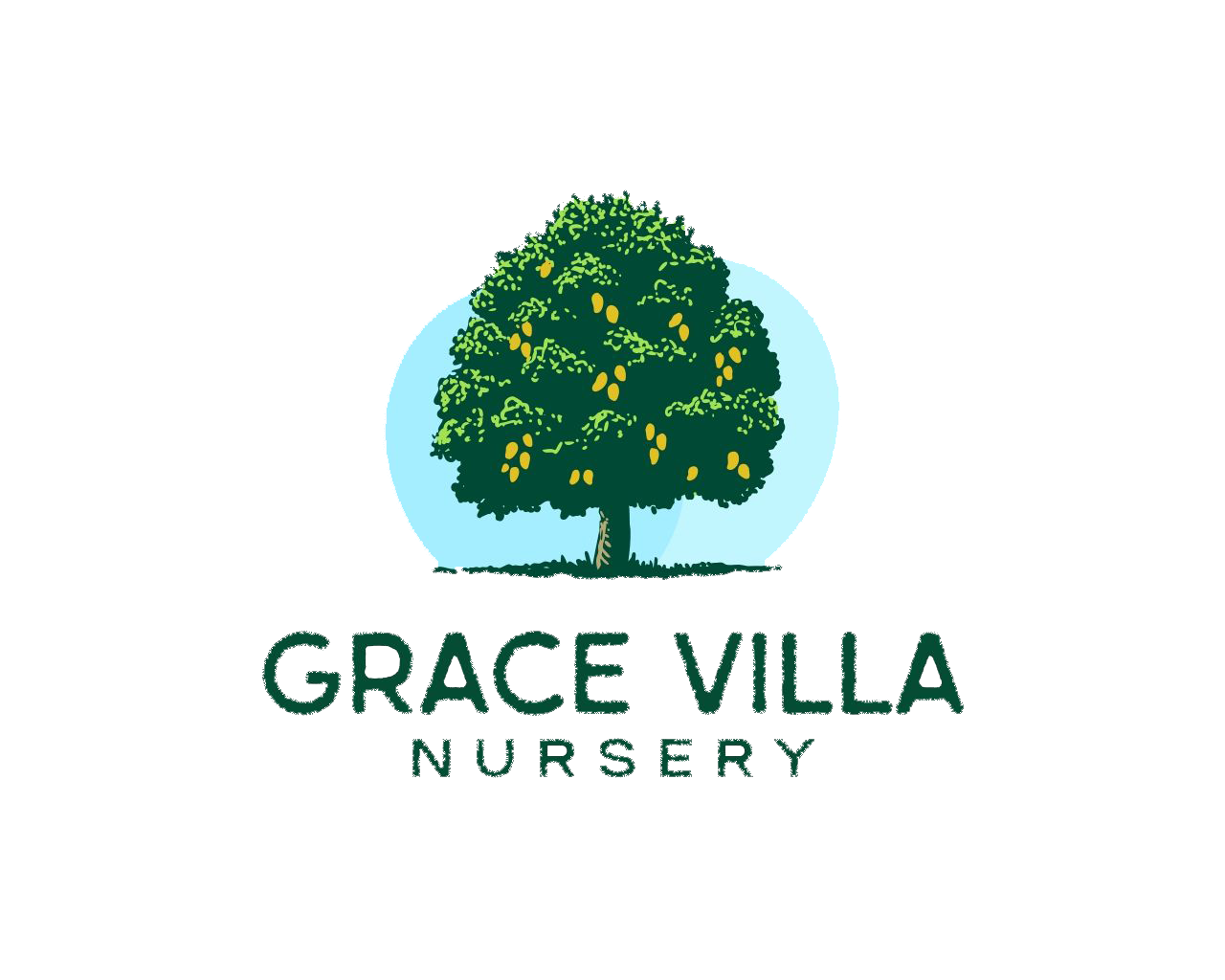 fulllogo transparent 1280×1024 Updated